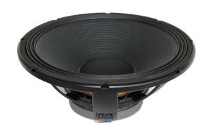 15 inch Stage Pro-luidspreker