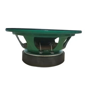 6. 5  Inch autoluidspreker